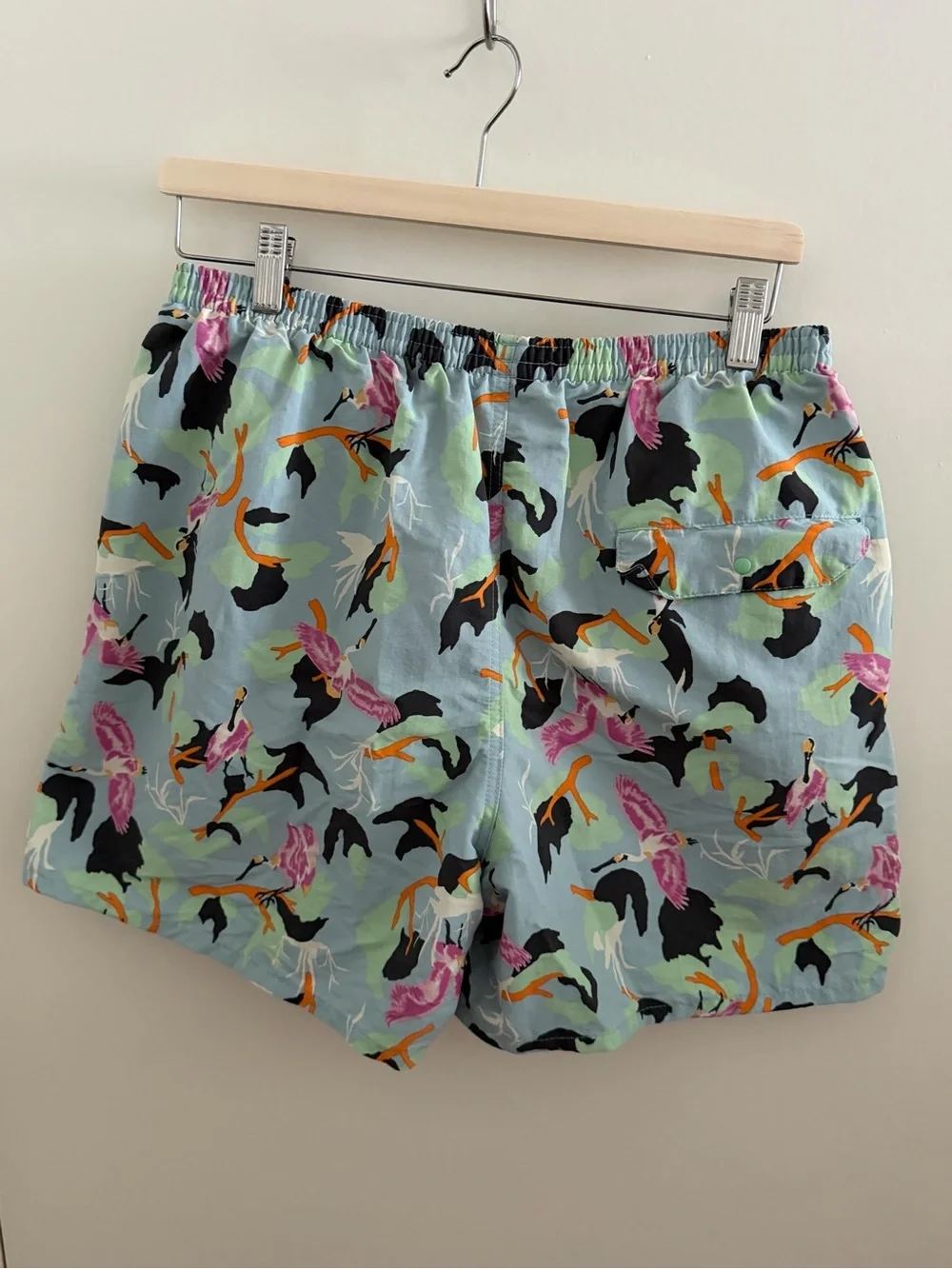 Patagonia Men’s Baggies Shorts Size L Bird Print Blue Green Pink Lined
